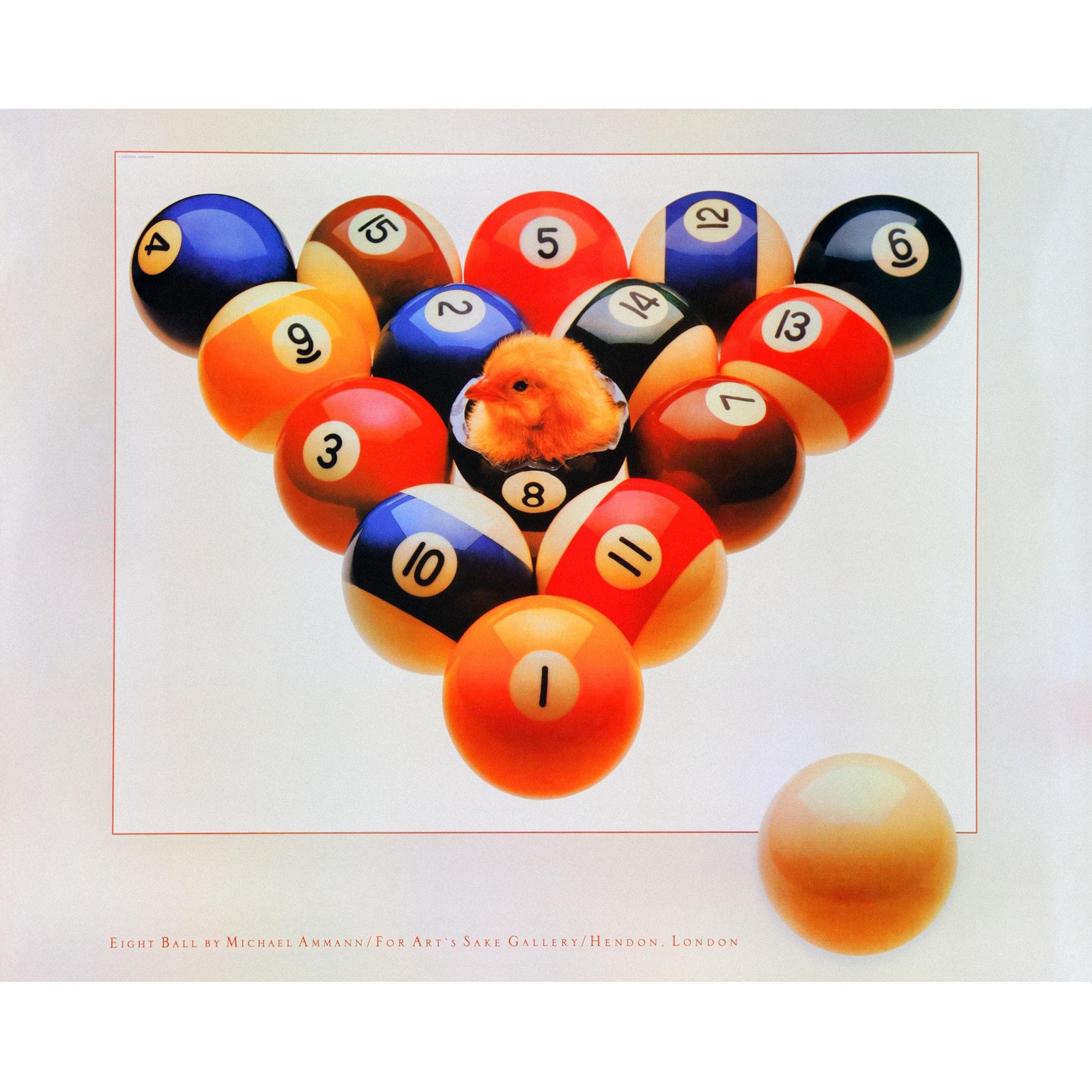 Постер Chicken 75×60см